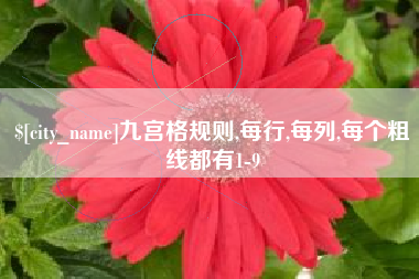 慈利九宫格规则,每行,每列,每个粗线都有1-9