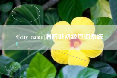 慈利消防证初级查询系统