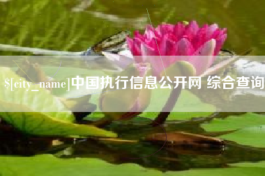 慈利中国执行信息公开网 综合查询
