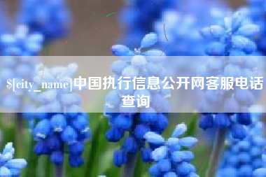 慈利中国执行信息公开网客服电话查询