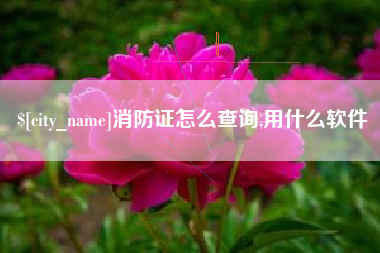 慈利消防证怎么查询,用什么软件