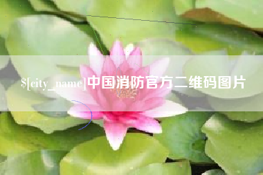 慈利中国消防官方二维码图片