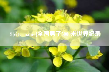 慈利全国男子5000米世界纪录