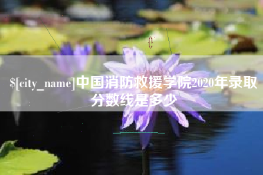 慈利中国消防救援学院2020年录取分数线是多少