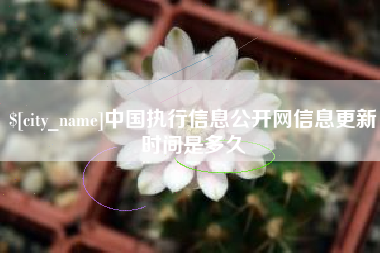 慈利中国执行信息公开网信息更新时间是多久