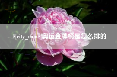 慈利奥运金牌榜是怎么排的
