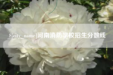 慈利河南消防学校招生分数线