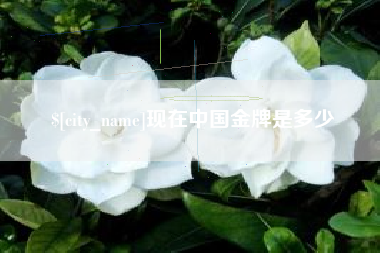 慈利现在中国金牌是多少
