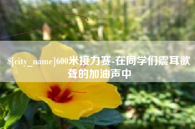 慈利600米接力赛-在同学们震耳欲聋的加油声中