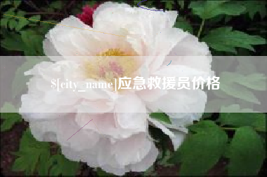 慈利应急救援员价格