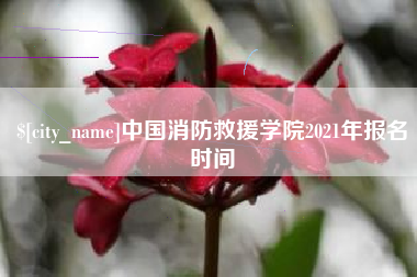 慈利中国消防救援学院2021年报名时间
