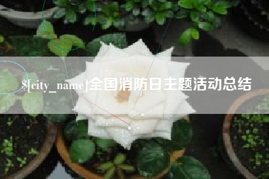 慈利全国消防日主题活动总结