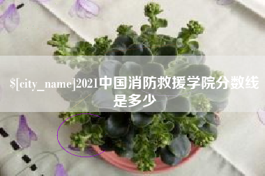 慈利2021中国消防救援学院分数线是多少