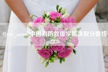 慈利中国消防救援学院录取分数线2020