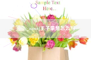慈利王子豪是怎么写