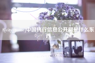 慈利中国执行信息公开网是什么东西