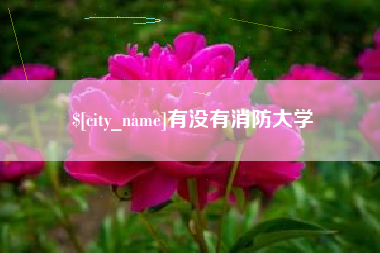 慈利有没有消防大学