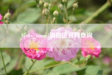 慈利消控证官网查询