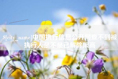 慈利中国执行信息公开网查不到被执行人是不是已解除限高