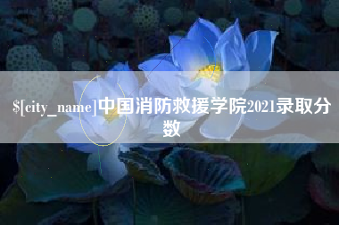 慈利中国消防救援学院2021录取分数
