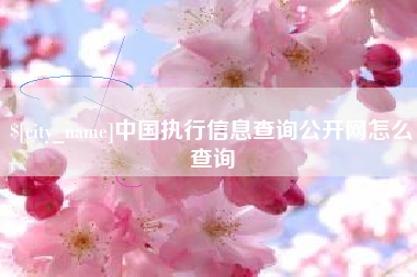 慈利中国执行信息查询公开网怎么查询