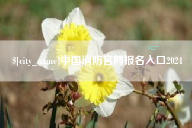 慈利中国消防官网报名入口2024