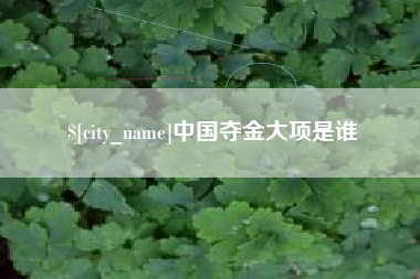 慈利中国夺金大项是谁