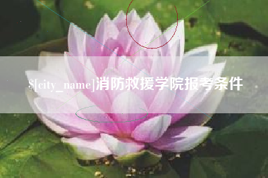 慈利消防救援学院报考条件