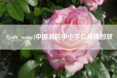 慈利中国消防中小学公开课回放
