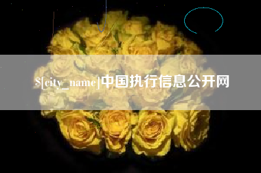 慈利中国执行信息公开网