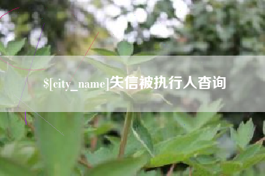 慈利失信被执行人杳询