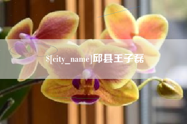 慈利邱县王子磊