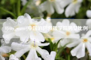 慈利中国消防救援学院男女比例