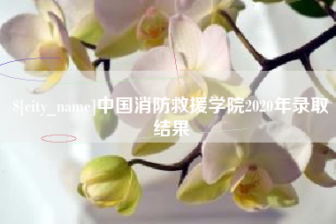 慈利中国消防救援学院2020年录取结果