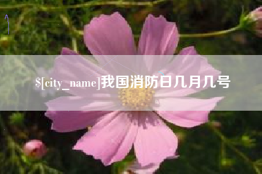 慈利我国消防日几月几号