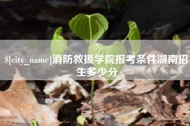 慈利消防救援学院报考条件湖南招生多少分