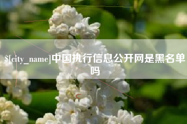 慈利中国执行信息公开网是黑名单吗
