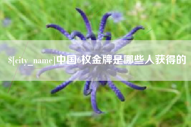 慈利中国6枚金牌是哪些人获得的