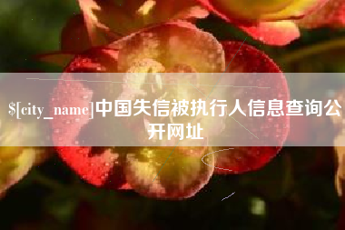 慈利中国失信被执行人信息查询公开网址
