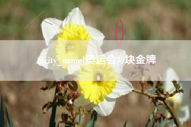慈利奥运会39块金牌