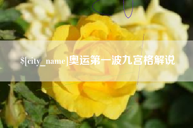 慈利奥运第一波九宫格解说