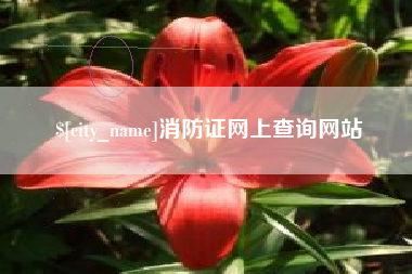 慈利消防证网上查询网站