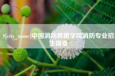 慈利中国消防救援学院消防专业招生简章