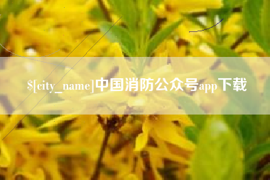 慈利中国消防公众号app下载