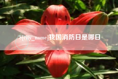慈利我国消防日是哪日