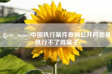 慈利中国执行案件查询公开网都是执行不了得案子