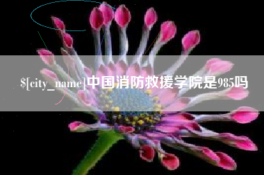慈利中国消防救援学院是985吗