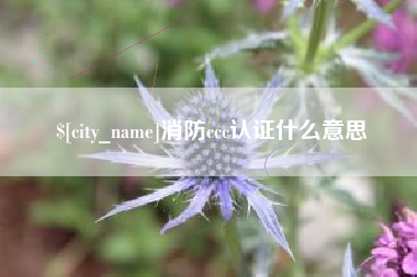 慈利消防ccc认证什么意思
