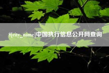慈利中国执行信息公开网查询