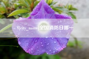 慈利全国消防日哪一